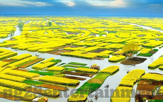 8888足球比分-揭秘8888足球比分背后的数据狂欢,一场数字与激情的碰撞