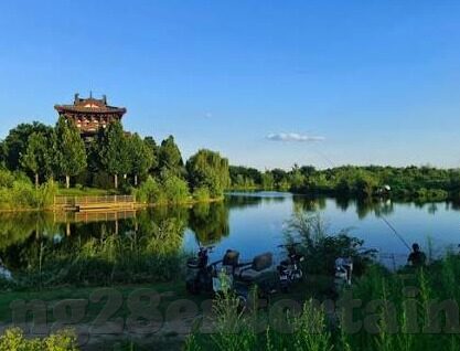 大赢家 足球比分-揭秘大赢家足球比分，数据背后的策略与激情碰撞