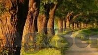 球竞足球比分-深度揭秘，球竞足球比分背后的数据密码与观赛新体验