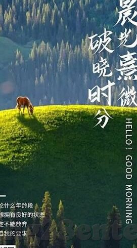 世锦赛足球比分-世锦赛足球激战正酣，比分背后的战术博弈与英雄传奇